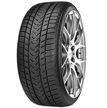 GRIPMAX 245/30R20 90V XL Pro Winter (DOT 20) 